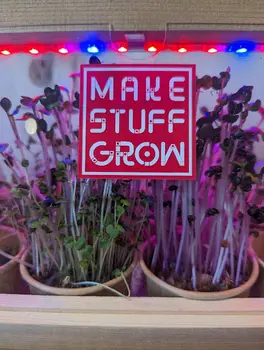 Make Stuff Grow | Seeds and Soil Pack