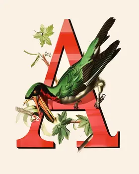 "A" Botanical Bird Red Alphabet 8"x10" Art Print