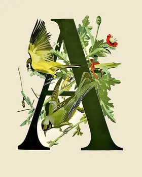 "A" Botanical Bird Green Alphabet 8"x10" Art Print