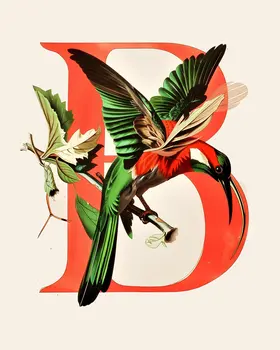 "B" Botanical Bird Alphabet 8"x10" Art Print