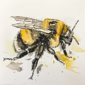 Bumblebee 8”x8” Art Print
