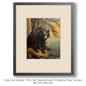 Grizzly Bear - Mowbi's Wildlife 8"x10" Art Print Collection