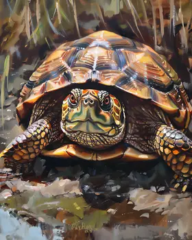 Box Turtle - Mowbi's Wildlife 8"x10" Art Print Collection