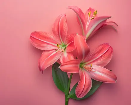 Fuchsia Lilies 8"x10" Art Print