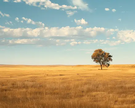 Lone Tree Prairie Landscape 8"x10" Art Print