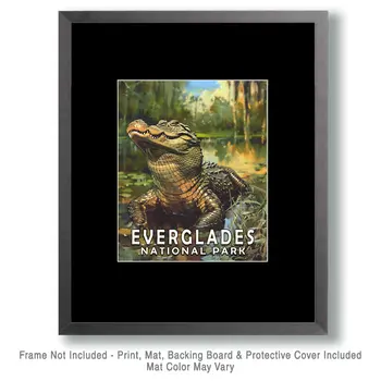 Alligator - Everglades Souvenir Home Decor Wall Art Prints – 8″x10″ Artwork – 11″x14″ Matte