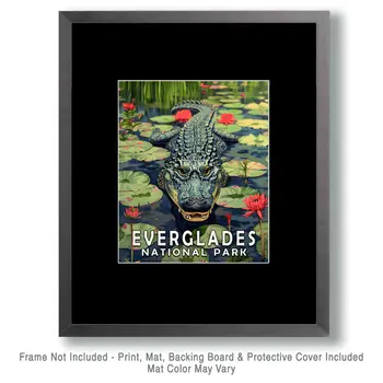Alligator in Lily Pad Bayou - Everglades Souvenir Home Decor Wall Art Prints – 8″x10″ Artwork – 11″x14″ Matte