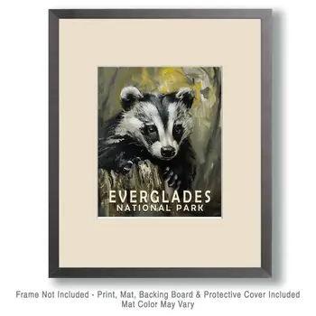 Badger - Everglades Souvenir Home Decor Wall Art Prints – 8″x10″ Artwork – 11″x14″ Matte