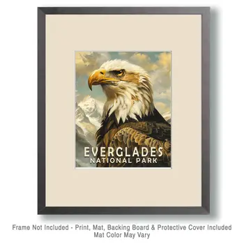 Bald Eagle - Everglades Souvenir Home Decor Wall Art Prints – 8″x10″ Artwork – 11″x14″ Matte