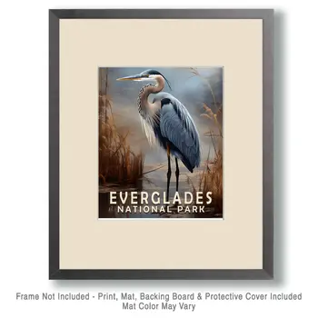 Great Blue Heron - Everglades Souvenir Home Decor Wall Art Prints – 8″x10″ Artwork – 11″x14″ Matte