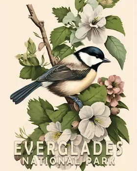 Chickadee - Everglades Souvenir Home Decor Wall Art Prints – 8″x10″ Artwork – 11″x14″ Matte