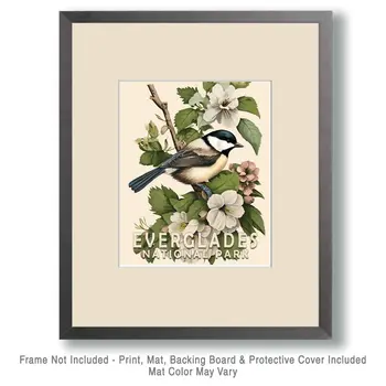 Chickadee - Everglades Souvenir Home Decor Wall Art Prints – 8″x10″ Artwork – 11″x14″ Matte