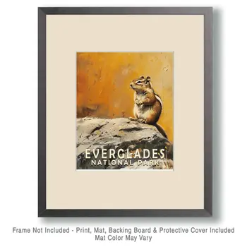 Chipmunk - Everglades Souvenir Home Decor Wall Art Prints – 8″x10″ Artwork – 11″x14″ Matte