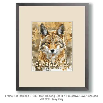 Coyote - Everglades Souvenir Home Decor Wall Art Prints – 8″x10″ Artwork – 11″x14″ Matte