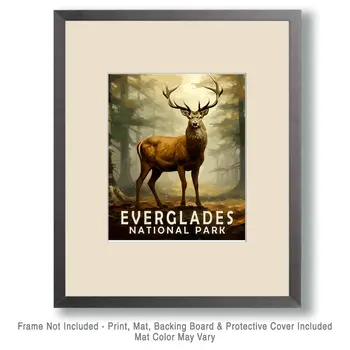 Buck Deer - Everglades Souvenir Home Decor Wall Art Prints – 8″x10″ Artwork – 11″x14″ Matte