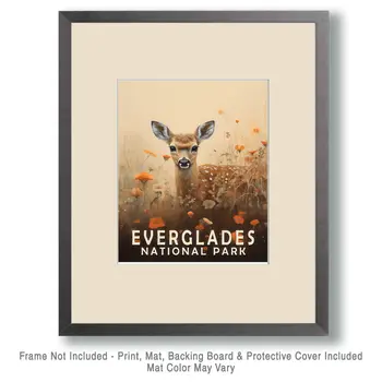 Deer Fawn - Everglades Souvenir Home Decor Wall Art Prints – 8″x10″ Artwork – 11″x14″ Matte