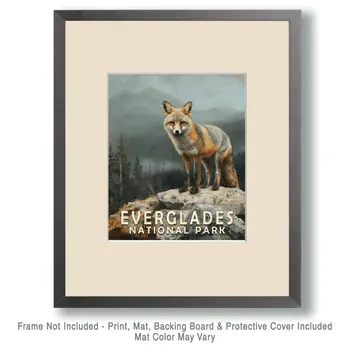 Gray Fox - Everglades Souvenir Home Decor Wall Art Prints – 8″x10″ Artwork – 11″x14″ Matte