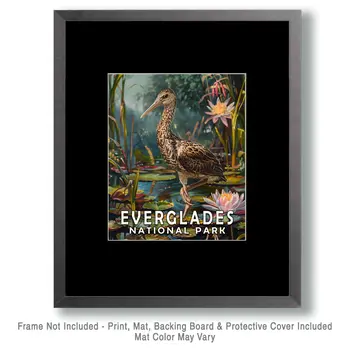 Limpkin - Everglades Souvenir Home Decor Wall Art Prints – 8″x10″ Artwork – 11″x14″ Matte