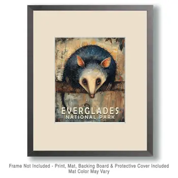 Opossum - Everglades Souvenir Home Decor Wall Art Prints – 8″x10″ Artwork – 11″x14″ Matte