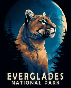 Puma - Everglades Souvenir Home Decor Wall Art Prints – 8″x10″ Artwork – 11″x14″ Matte