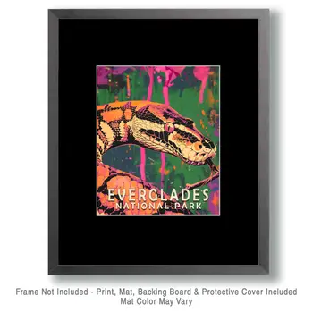 Pop Art Python - Everglades Souvenir Home Decor Wall Art Prints – 8″x10″ Artwork – 11″x14″ Matte
