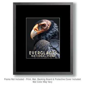Vulture - Everglades Souvenir Home Decor Wall Art Prints – 8″x10″ Artwork – 11″x14″ Matte