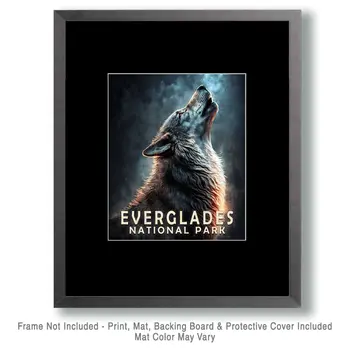 Wolf - Everglades Souvenir Home Decor Wall Art Prints – 8″x10″ Artwork – 11″x14″ Matte
