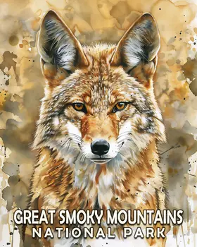 Coyote - Smoky Mountains Souvenir Home Decor Wall Art Prints – 8″x10″ Artwork – 11″x14″ Matte