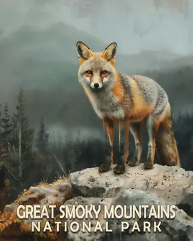 Gray Fox - Smoky Mountains Souvenir Home Decor Wall Art Prints – 8″x10″ Artwork – 11″x14″ Matte