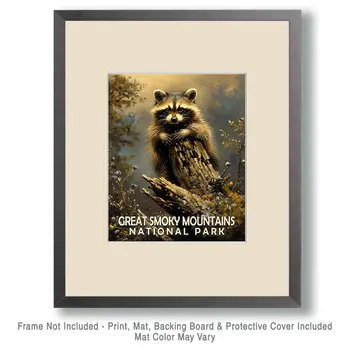 Raccoon Kit - Smoky Mountains Souvenir Home Decor Wall Art Prints – 8″x10″ Artwork – 11″x14″ Matte