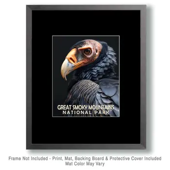 Vulture - Smoky Mountains Souvenir Home Decor Wall Art Prints – 8″x10″ Artwork – 11″x14″ Matte