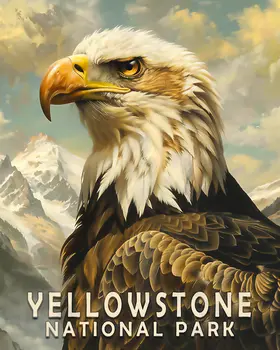 Bald Eagle - Yellowstone National Park Souvenir Home Decor Wall Art Prints – 8″x10″ Artwork – 11″x14″ Matte