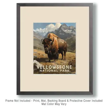 American Bison - Yellowstone National Park Souvenir Home Decor Wall Art Prints – 8″x10″ Artwork – 11″x14″ Matte