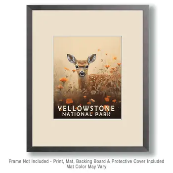 Fawn - Yellowstone National Park Souvenir Home Decor Wall Art Prints – 8″x10″ Artwork – 11″x14″ Matte
