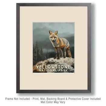 Gray Fox - Yellowstone National Park Souvenir Home Decor Wall Art Prints – 8″x10″ Artwork – 11″x14″ Matte