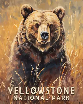 Grizzly Bear in a Field - Yellowstone National Park Souvenir Home Decor Wall Art Prints – 8″x10″ Artwork – 11″x14″ Matte