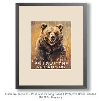 Grizzly Bear in a Field - Yellowstone National Park Souvenir Home Decor Wall Art Prints – 8″x10″ Artwork – 11″x14″ Matte