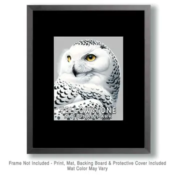 Snowy Owl - Yellowstone National Park Souvenir Home Decor Wall Art Prints – 8″x10″ Artwork – 11″x14″ Matte