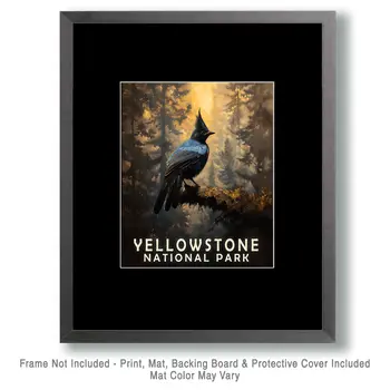 Stellar Jay - Yellowstone National Park Souvenir Home Decor Wall Art Prints – 8″x10″ Artwork – 11″x14″ Matte