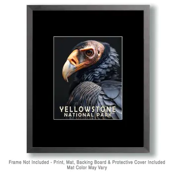 Vulture - Yellowstone National Park Souvenir Home Decor Wall Art Prints – 8″x10″ Artwork – 11″x14″ Matte
