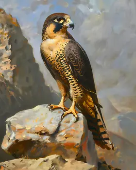 Peregrine Falcon - Mowbi's Wildlife  8"x10" Art Print Collection