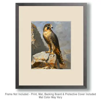Peregrine Falcon - Mowbi's Wildlife  8"x10" Art Print Collection