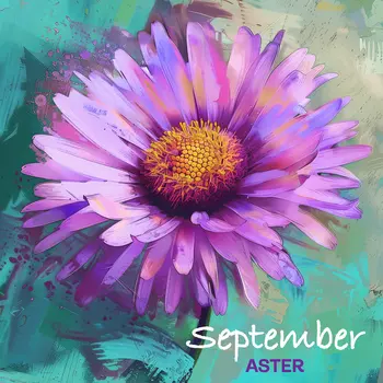 September Aster Birth Flower 8"x8" Art Print