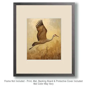 Sandhill Crane - Mowbi's Wildlife  8"x10" Art Print Collection