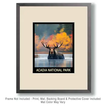 Moose - Acadia Maine Souvenir Home Decor Wall Art Prints – 8″x10″ Artwork – 11″x14″ Mat