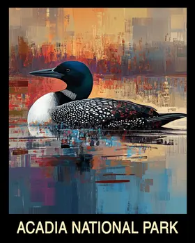 Loon - Acadia Maine Souvenir Home Decor Wall Art Prints – 8″x10″ Artwork – 11″x14″ Mat