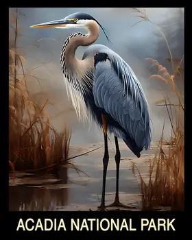 Blue Heron - Acadia Maine Souvenir Home Decor Wall Art Prints – 8″x10″ Artwork – 11″x14″ Mat
