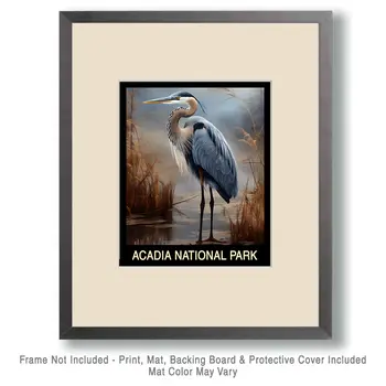 Blue Heron - Acadia Maine Souvenir Home Decor Wall Art Prints – 8″x10″ Artwork – 11″x14″ Mat