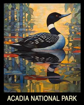 Common Loon - Acadia Maine Souvenir Home Decor Wall Art Prints – 8″x10″ Artwork – 11″x14″ Mat