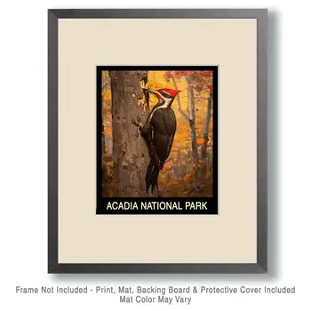 Pileated Woodpecker - Acadia Maine Souvenir Home Decor Wall Art Prints – 8″x10″ Artwork – 11″x14″ Mat